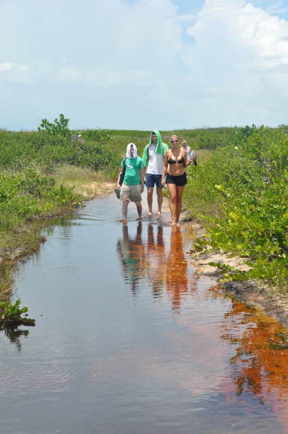 Caminhada para a Lagoa da Princesa, em Algodoal - PA